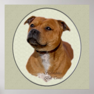 Poster Cadeaux d'art Staffordshire Bull Terrier