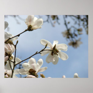 Poster CADEAUX DE FÊTE DES MÈRES ART Arbre de Magnolia Fl
