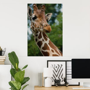 Poster Cadeaux d'impression d'art d'amants de girafe