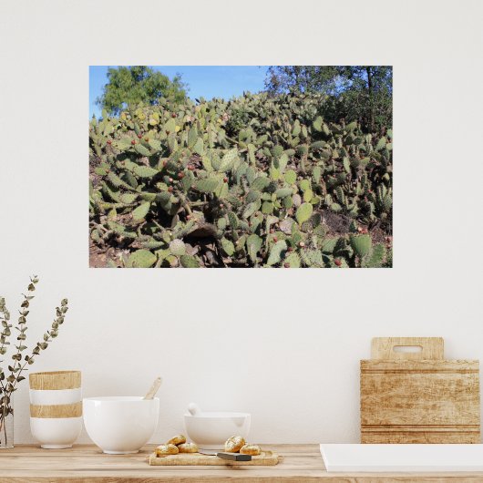 Poster Cadeaux Prickly Pear (Cuisine)