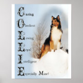 Poster Cadeaux Sable Rough Collie (Devant)