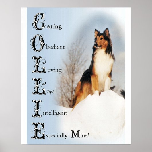 Poster Cadeaux Sable Rough Collie (Devant)