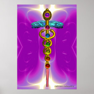 Poster CADERE D'OR 7 CHAKRAS, Yoga, Médical Fuchsia Rose