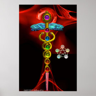 POSTER CADERE D'OR ET 7 CHAKRAS DANS ROSE FRACTALE ROUGE