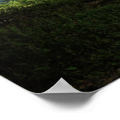 Poster Cade's Cove (Coin)