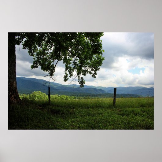 Poster Cade's Cove (Devant)