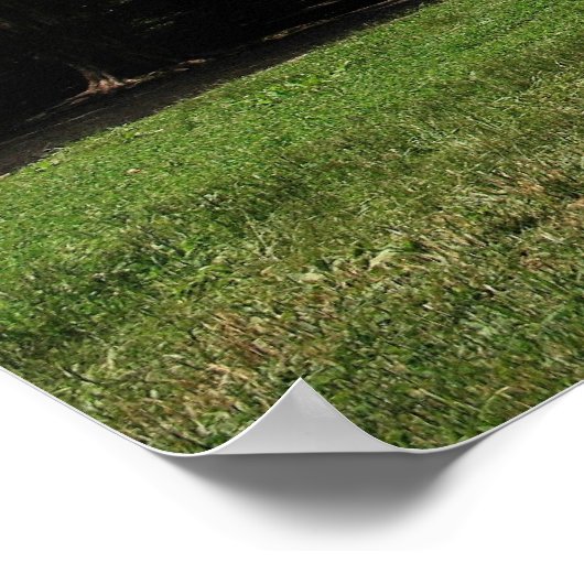 Poster Cade's Cove (Coin)