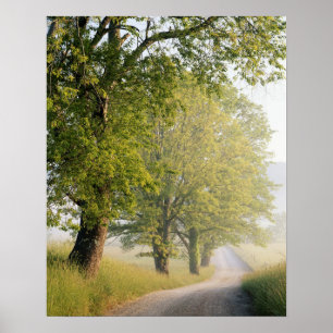 Poster Cades Cove Grandes Montagnes fumées, TN