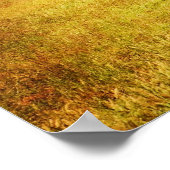 Poster - Cades Cove Tree - Great Smoky Mt. Nat'l P (Coin)