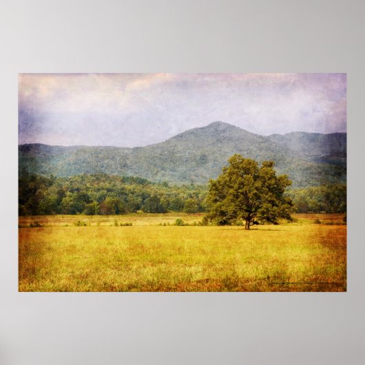 Poster - Cades Cove Tree - Great Smoky Mt. Nat'l P (Devant)