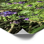 Poster Cadran solaire en Lavender (Coin)