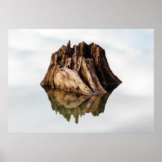 POSTER CADRE BROWN EN BOIS (Devant)