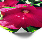 Poster Cadre de fleurs d'Hibiscus rouge Ajoutez votre pro (Coin)