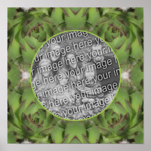Poster Cadre de la nature Succulente Créez votre propre p