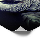 Poster Cadre de perroquet gris d'Afrique Ajoutez votre ph (Coin)