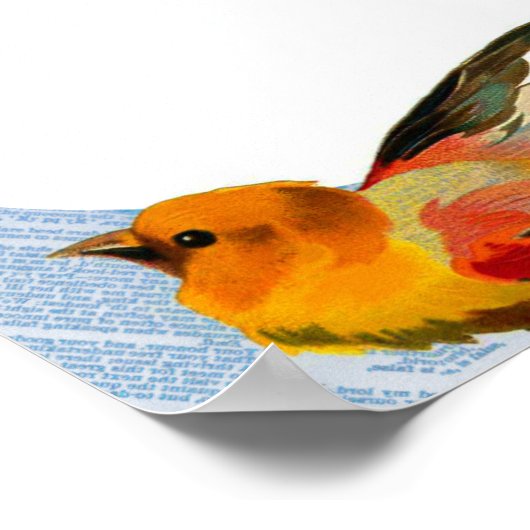 Poster Cadre d'oiseaux (Coin)