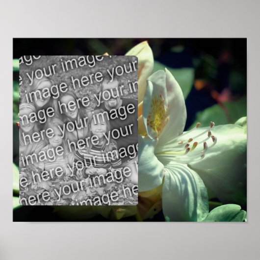 Poster Cadre Fleur Azalea Blanc Ajouter Votre Photo (Devant)