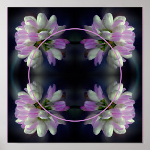 Poster Cadre Fleur Rose Et Blanc Créez Votre Propre Photo