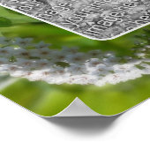 Poster Cadre Fleur sauvage de curling Créez votre propre  (Coin)