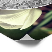 Poster Cadre Fleur Tulipe Blanche Créez votre propre phot (Coin)