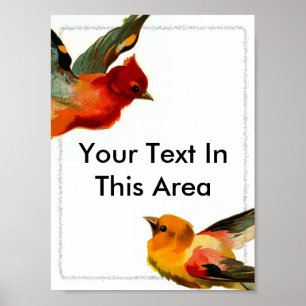 Poster Cadre Oiseaux 2, Votre Texte Dans Cette Zone