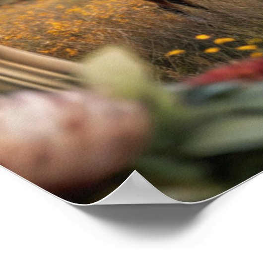 Poster Cadre TV Samsung (Coin)