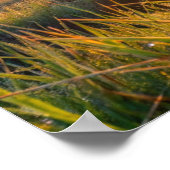 Poster Cadre TV Samsung (Coin)