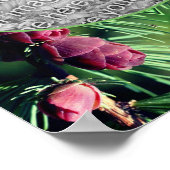 Poster Cadres de cônes de pin miniature Créez votre propr (Coin)