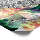 Poster Cadres de fleurs de pivoines roses Ajouter votre p (Coin)