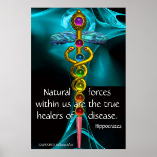 POSTER CADUCÉE D'OR ET 7 CHAKRAS DANS ROSE FRACTALE BLEUE