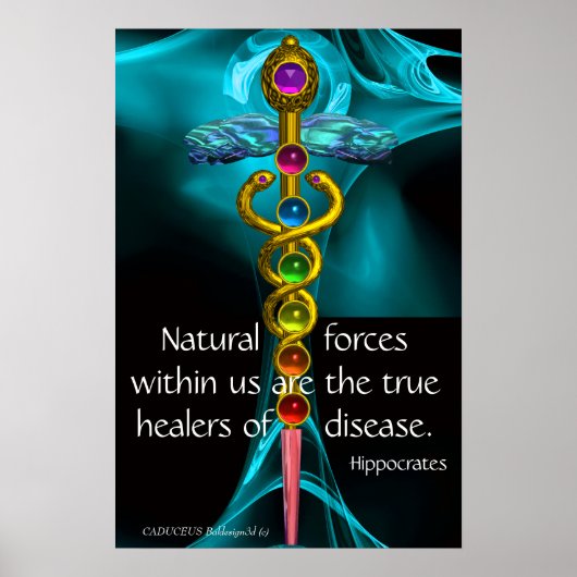 POSTER CADUCÉE D'OR ET 7 CHAKRAS DANS ROSE FRACTALE BLEUE (Devant)