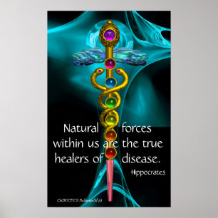 POSTER CADUCÉE D'OR ET 7 CHAKRAS DANS ROSE FRACTALE BLEUE