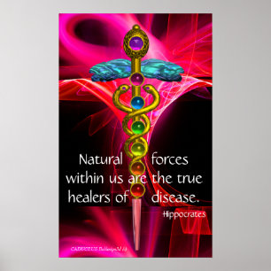 Poster CADUCUS D'OR,7 CHAKRAS, VAGUES FRACTALES ROSES Méd