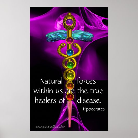 Poster CADUCUS D'OR, 7 CHAKRAS, VIOLET ROSE Médicale, Yog (Devant)