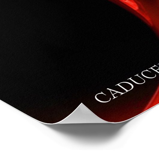 POSTER CADUCUS D'OR ET 7 CHAKRAS EN ROSE FRACTAL ROUGE (Coin)