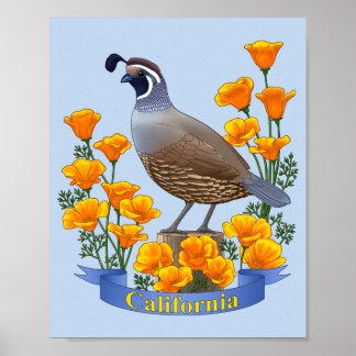Poster Caille oiseau de l'État de Californie et Pavot dor