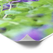 Poster Caille Sauvage (Coin)