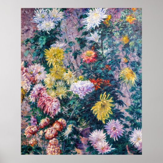 Poster Caillebotte - Chrysanthèmes blanc et jaune (Devant)
