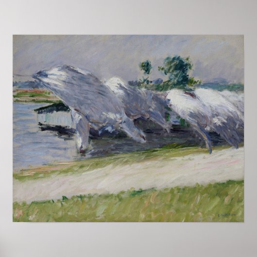 Poster Caillebotte - Linge à sécher (Devant)