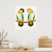 Poster Caique Parrot Love, Caique Parrot Love, Caique ... (Cuisine)