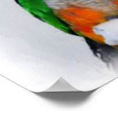 Poster Caique Parrots Inspiration Citation (Coin)