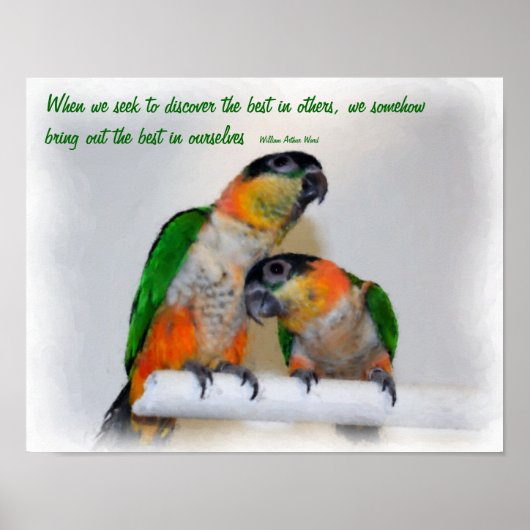 Poster Caique Parrots Inspiration Citation (Devant)