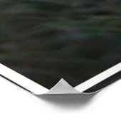 Poster Cairn Terrier Face (Coin)