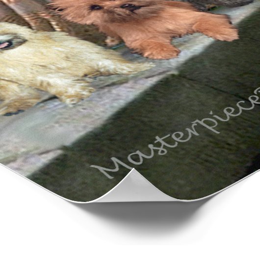 Poster Cairn Terriers (Trois) - L'Accolade (Coin)