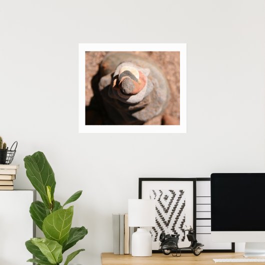 Poster Cairn Vortex (Bureau à domicile)