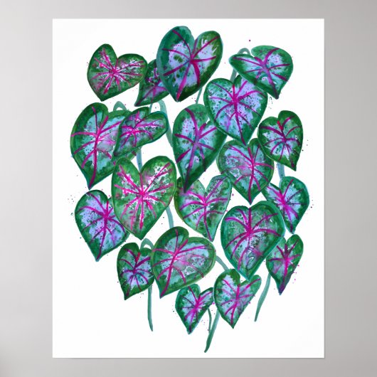 Poster Caladiums colorés Aquarelle Art Rose Vert (Devant)