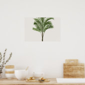 Poster Calamus Asperrimus - Palmier (Cuisine)