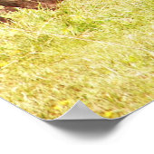 Poster Calanques d'Angus au pâturage (Coin)