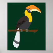 Poster Calao (Devant)