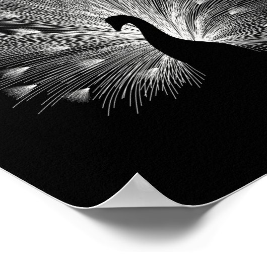 Poster Calcaire blanc (Coin)